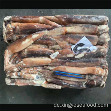 Gefrorenes ganzes runde Tintenfisch illx argentinus